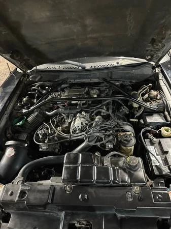 1997 Ford SN95 Mustang - Image 6 of 8