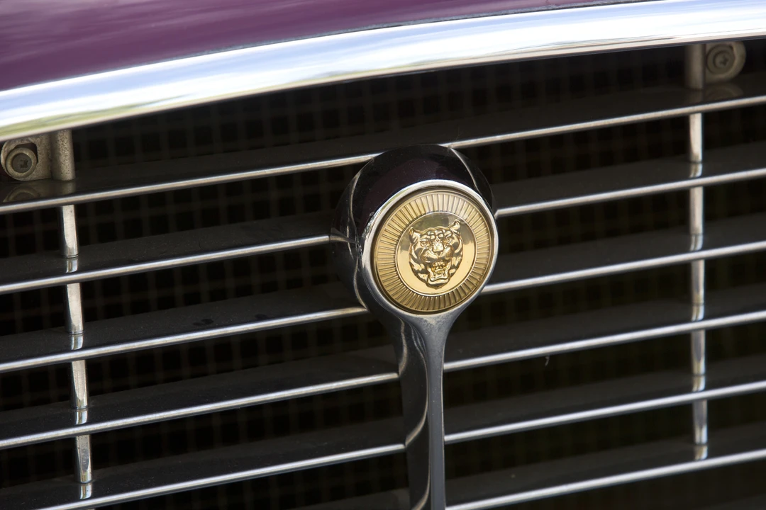 1973 Jaguar E-Type Series 3 V12 - Image 19 of 29