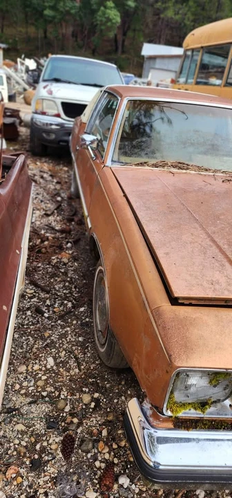 1978 Oldsmobile Cutlass Supreme - Image 2 of 8