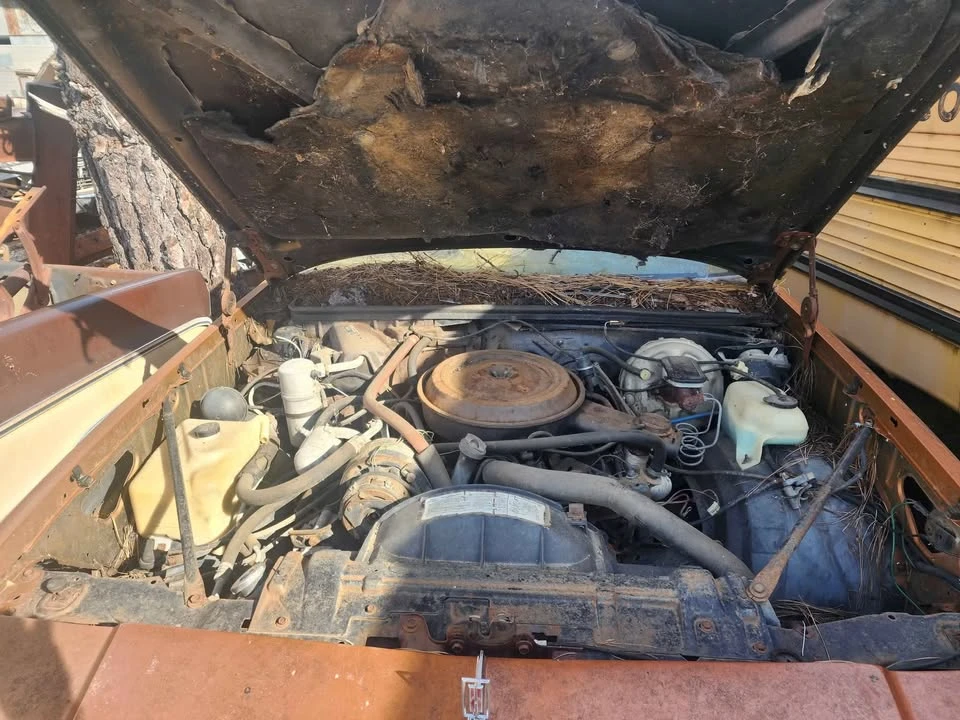 1978 Oldsmobile Cutlass Supreme - Image 7 of 8