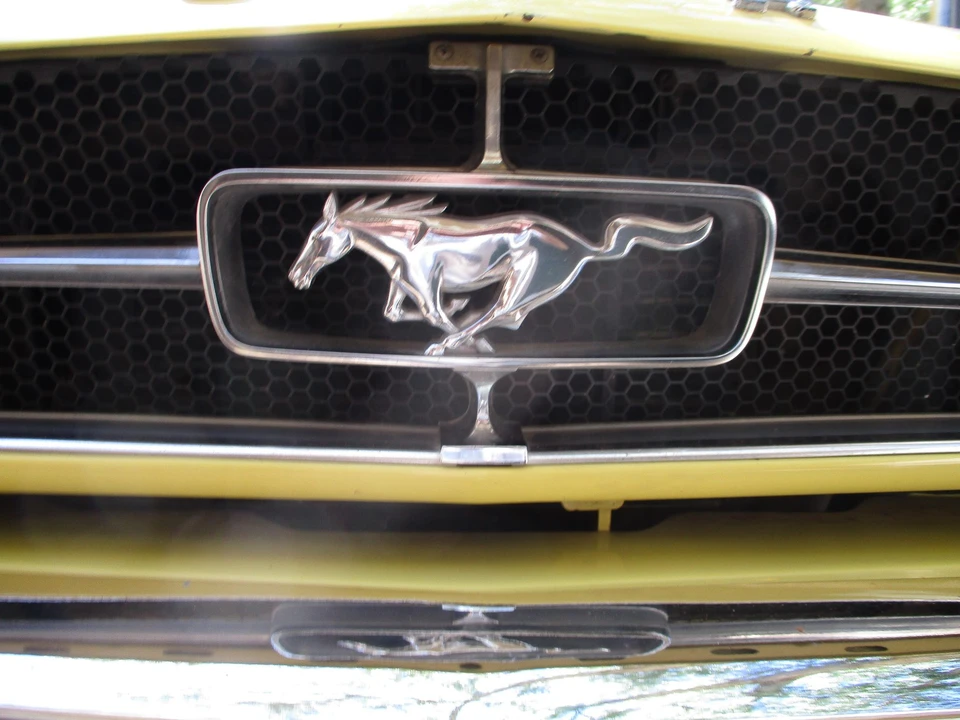 1964 Ford Mustang 1st Gen (1964.5-1966) - Image 25 of 31