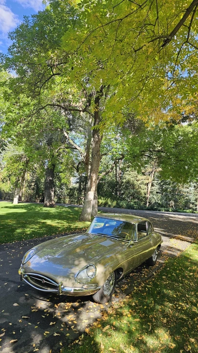 1966 Jaguar E-Type Series 1 2+2 - Image 23 of 31