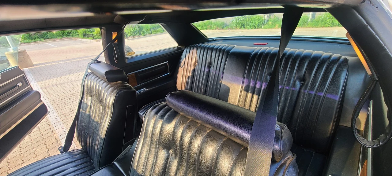 1975 Buick Electra - Image 25 of 31