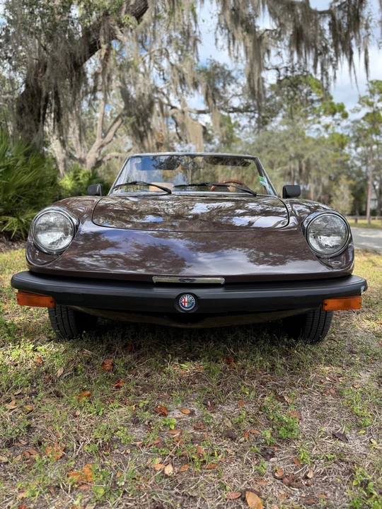 1980 Alfa Romeo Series 2 - Image 10 of 31