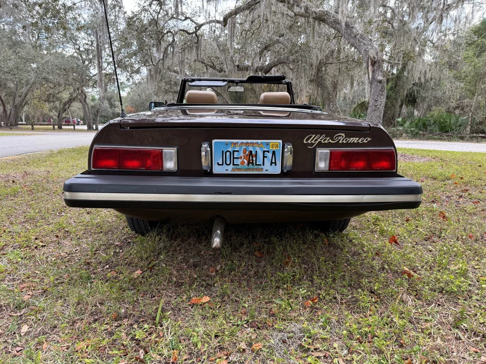 1980 Alfa Romeo Series 2 - Image 8 of 31