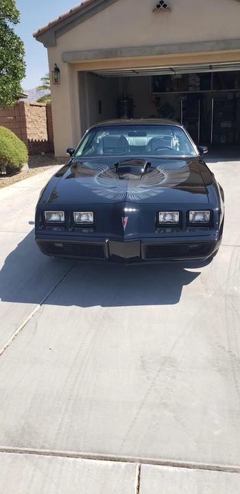 1981 Pontiac Firebird Trans Am 2nd Gen - Image 2 of 31