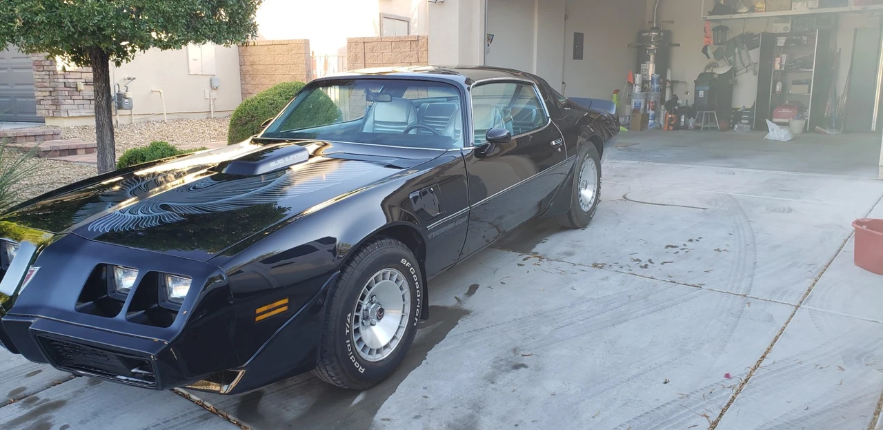 1981 Pontiac Firebird Trans Am 2nd Gen - Image 11 of 31