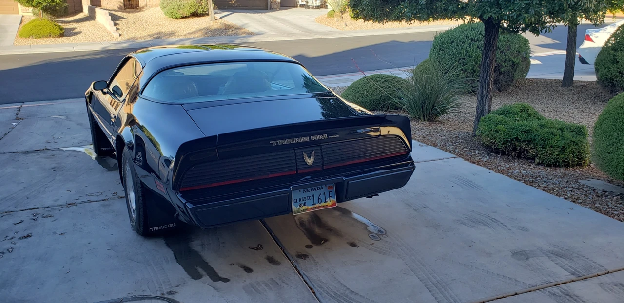 1981 Pontiac Firebird Trans Am 2nd Gen - Image 8 of 31