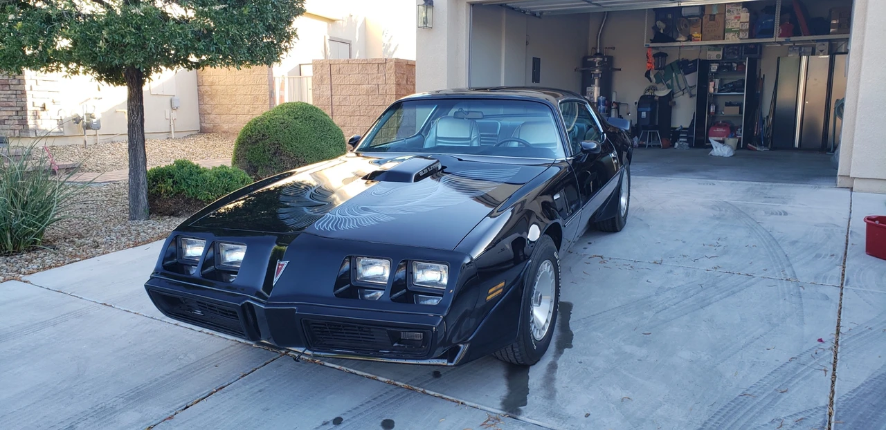 1981 Pontiac Firebird Trans Am 2nd Gen - Image 10 of 31