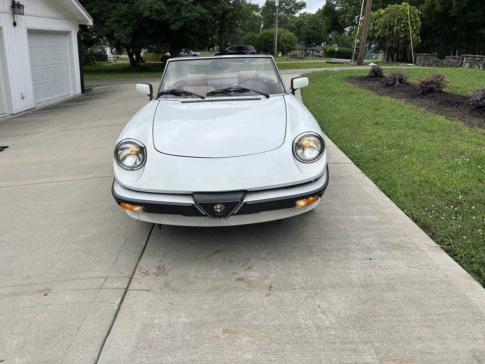 1986 Alfa Romeo Series 3 - Image 2 of 31
