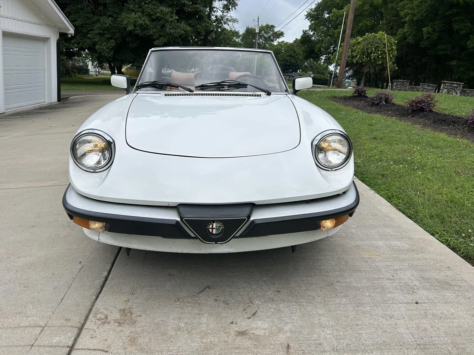 1986 Alfa Romeo Series 3 - Image 10 of 31