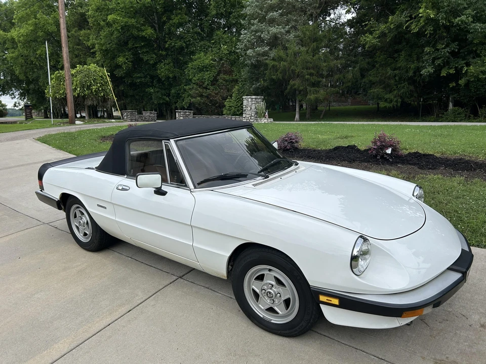 1986 Alfa Romeo Series 3 - Image 28 of 31