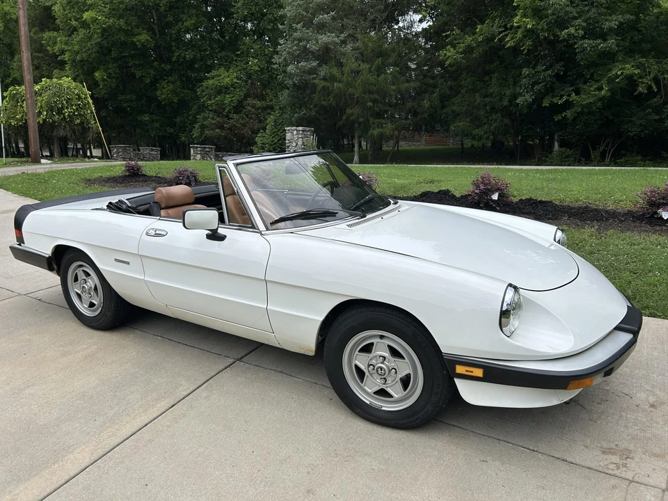 1986 Alfa Romeo Series 3 - Image 9 of 31