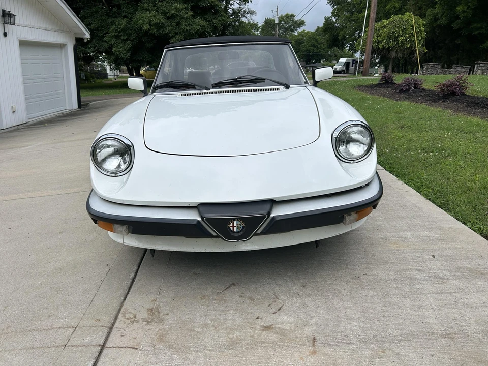 1986 Alfa Romeo Series 3 - Image 11 of 31