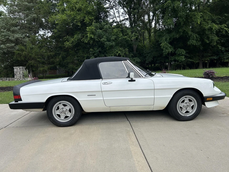 1986 Alfa Romeo Series 3 - Image 25 of 31