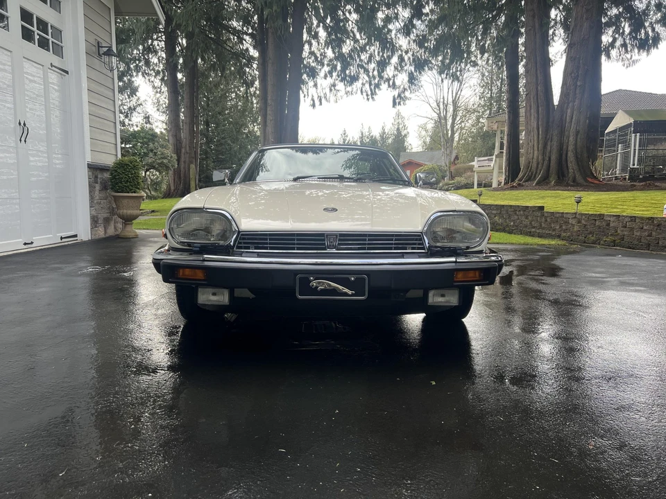 1987 Jaguar XJS Pre-Facelift V12 - Image 10 of 31