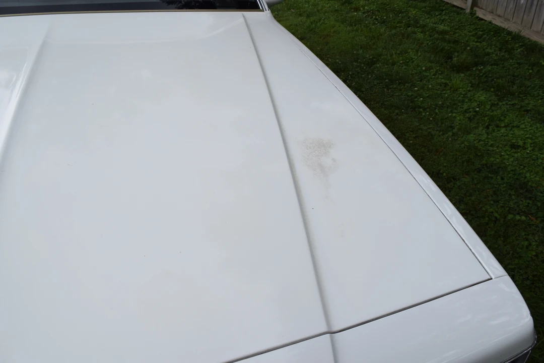 1989 Chevrolet Caprice - Image 9 of 31