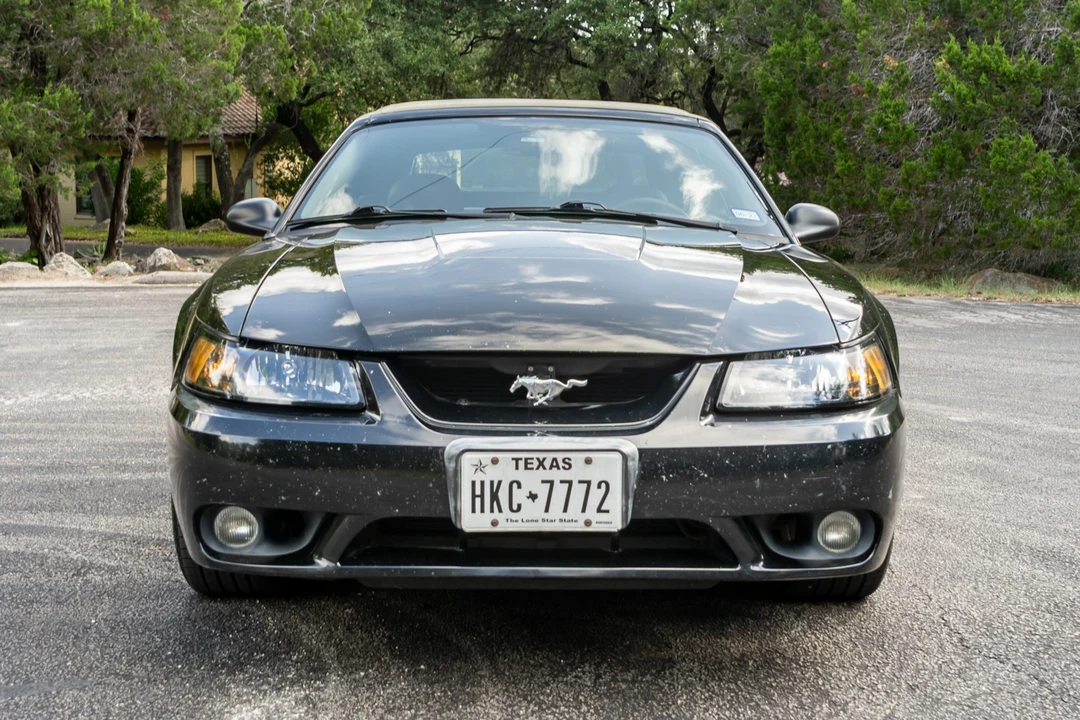2001 Ford SN95 Mustang Cobra - Image 12 of 31
