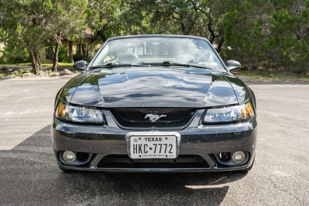 2001 Ford SN95 Mustang Cobra - Image 2 of 31