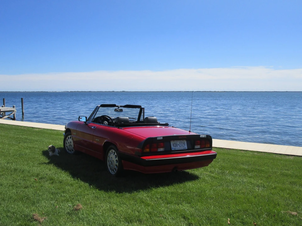 1989 Alfa Romeo Series 3 - Image 18 of 31