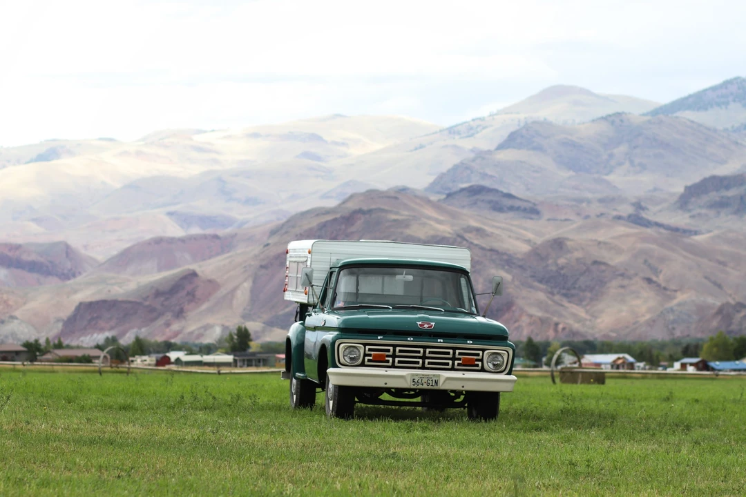 1964 Ford F-Series 4th Gen - Image 14 of 31