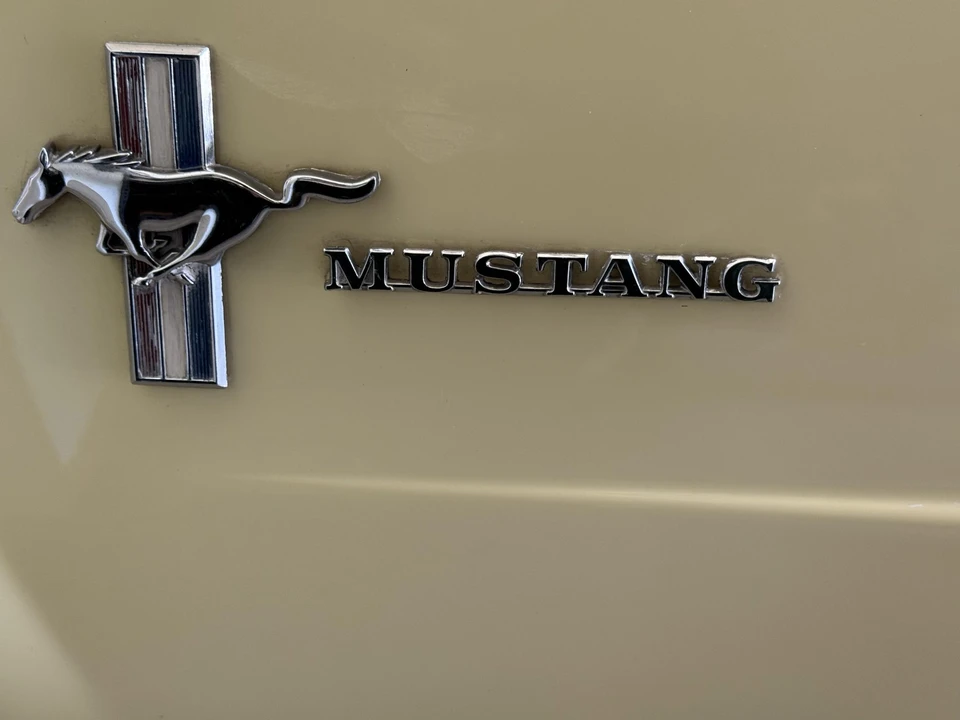 1966 Ford Mustang 1st Gen (1964.5-1966) - Image 21 of 31