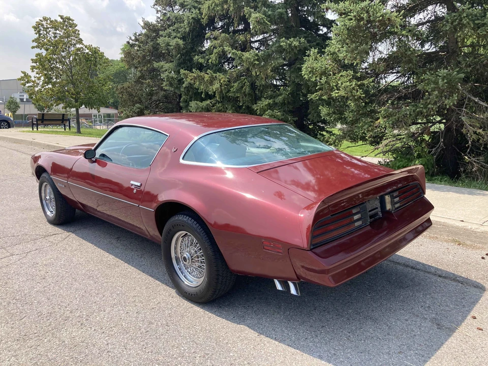 1978 Pontiac Firebird Formula 2nd Gen - Image 3 of 31