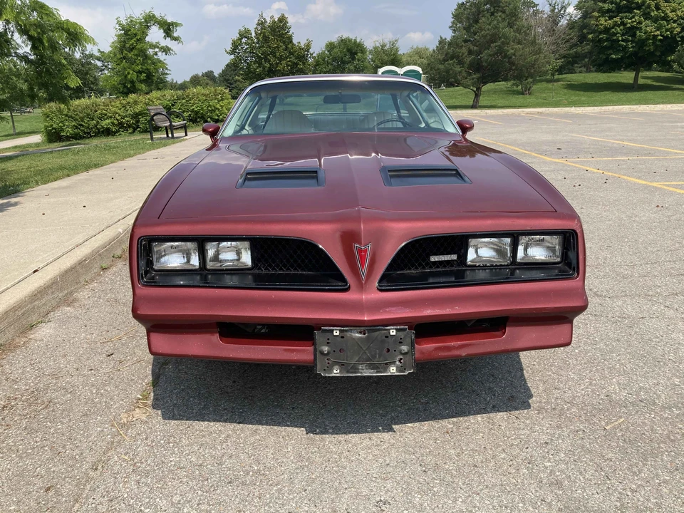 1978 Pontiac Firebird Formula 2nd Gen - Image 8 of 31