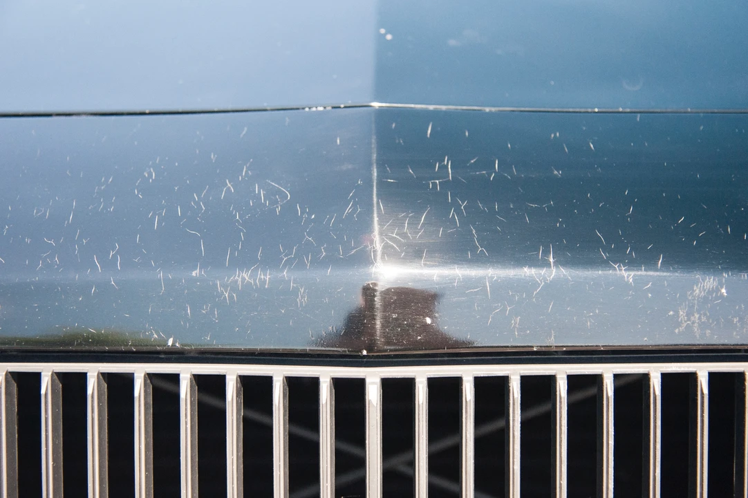 1987 Buick Grand National - Image 21 of 31