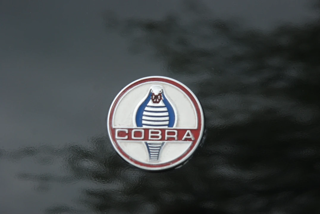 1993 Shelby Cobra Replica - Image 19 of 31