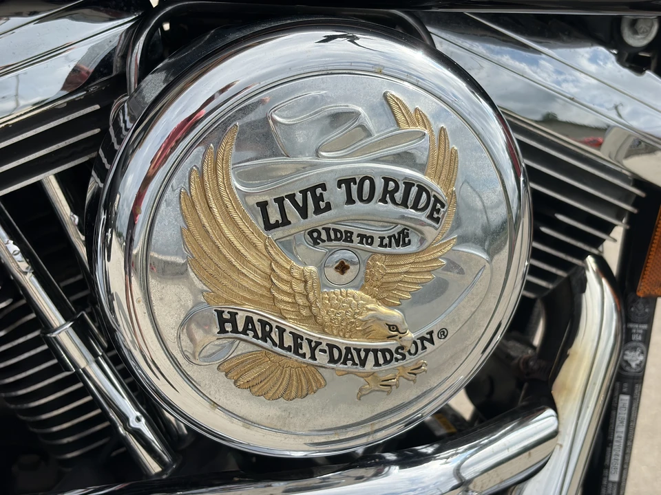 1997 Harley-Davidson Softail - Image 14 of 31