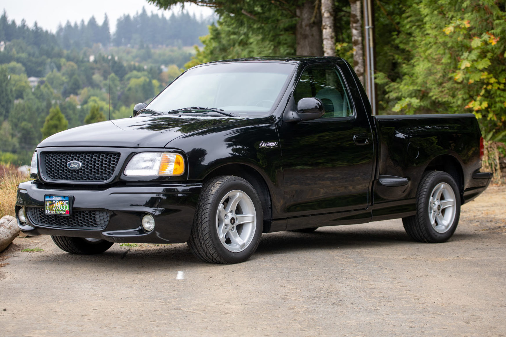 One-Owner 2000 Ford F-150 Lightning