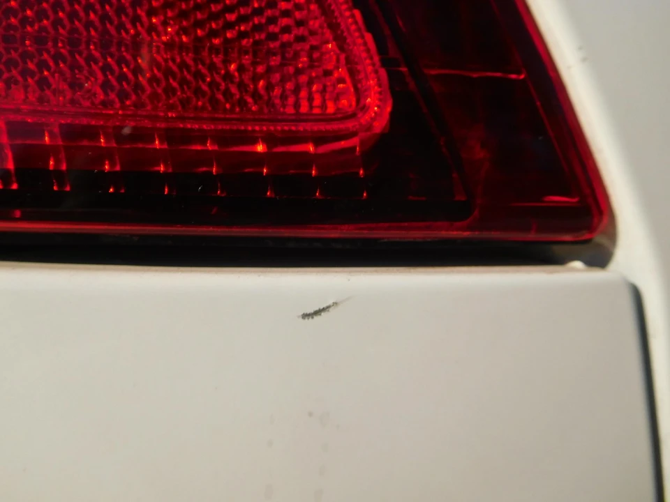 2001 Acura Integra Type R 3rd Gen - Image 31 of 31