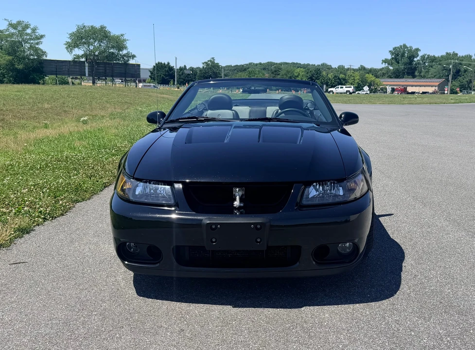 2003 Ford SN95 Mustang Cobra - Image 5 of 31