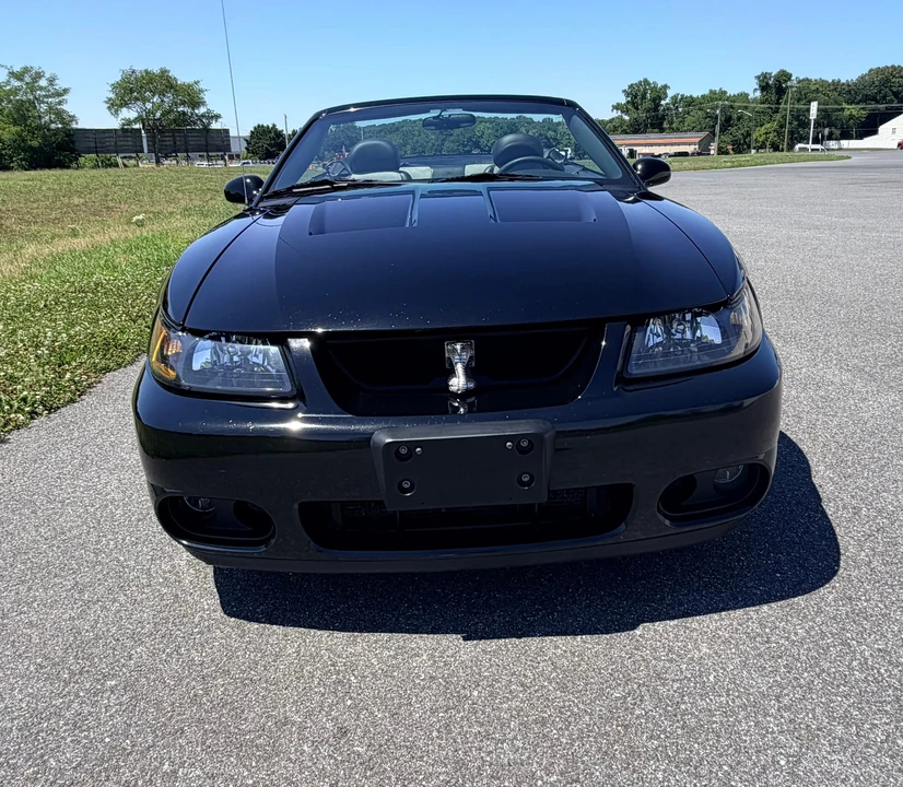 2003 Ford SN95 Mustang Cobra - Image 8 of 31