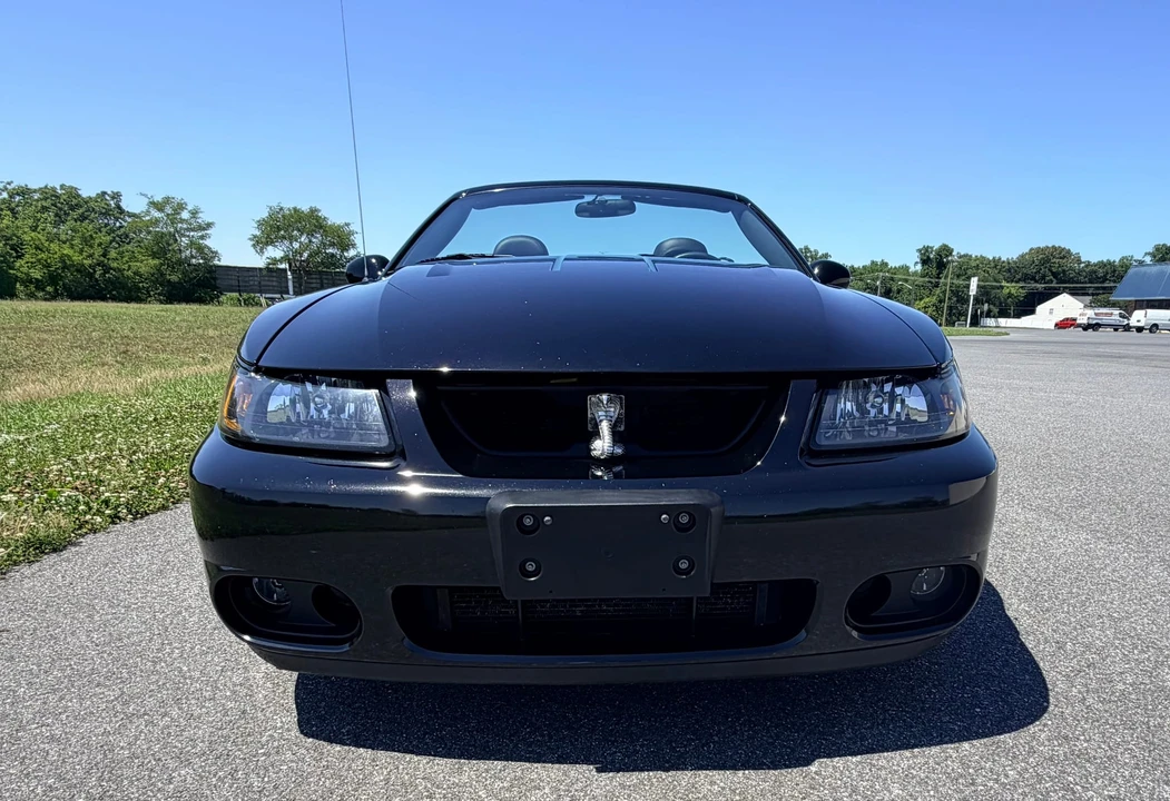 2003 Ford SN95 Mustang Cobra - Image 6 of 31