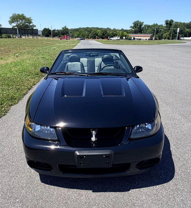 2003 Ford SN95 Mustang Cobra - Image 10 of 31