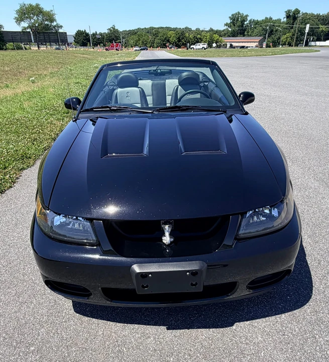 2003 Ford SN95 Mustang Cobra - Image 11 of 31