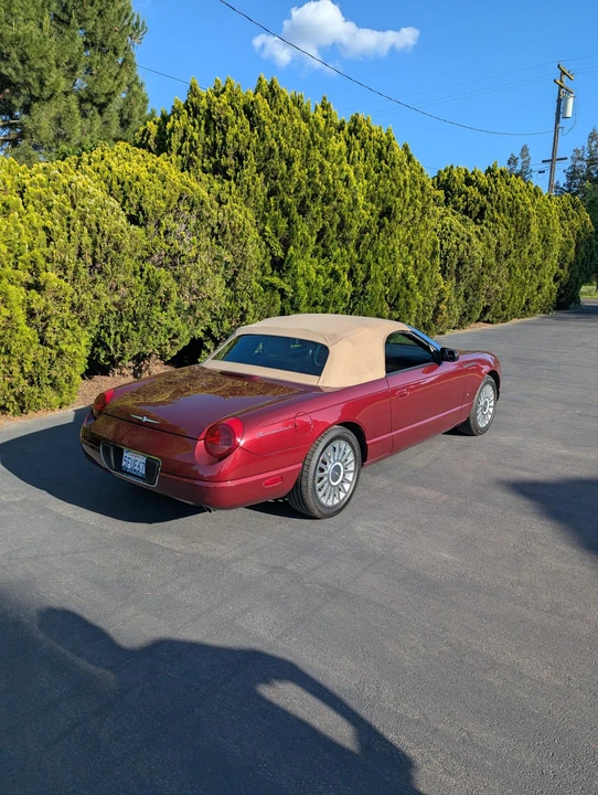 2004 Ford Thunderbird 11th Gen - Image 13 of 31