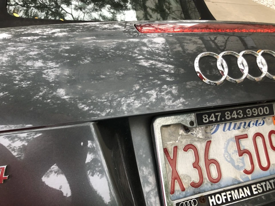 2008 Audi B7 RS4 - Image 31 of 31