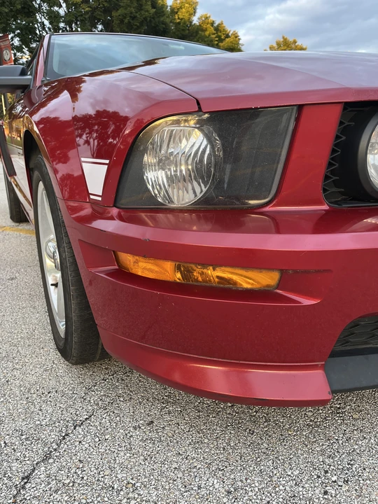 2009 Ford S197 Mustang - Image 14 of 31
