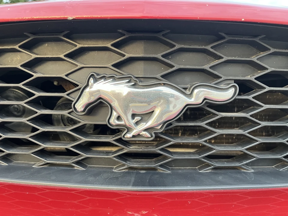 2009 Ford S197 Mustang - Image 16 of 31