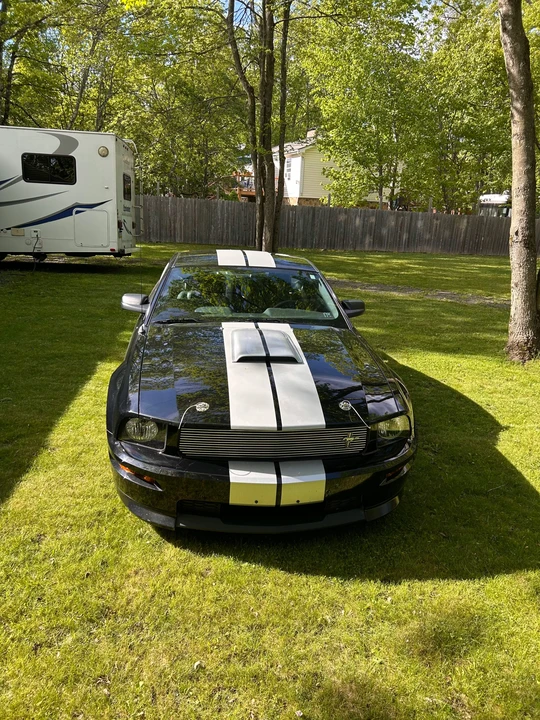 2007 Ford S197 I Shelby Mustang CS6/8 & GT & GT-H & Terlingua - Image 2 of 31
