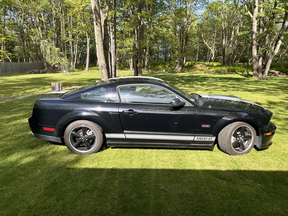 2007 Ford S197 I Shelby Mustang CS6/8 & GT & GT-H & Terlingua - Image 9 of 31