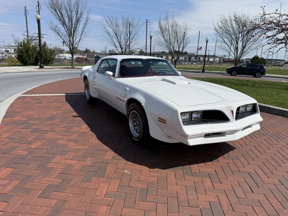 1978 Pontiac Firebird Trans Am 2nd Gen - Image 8 of 31