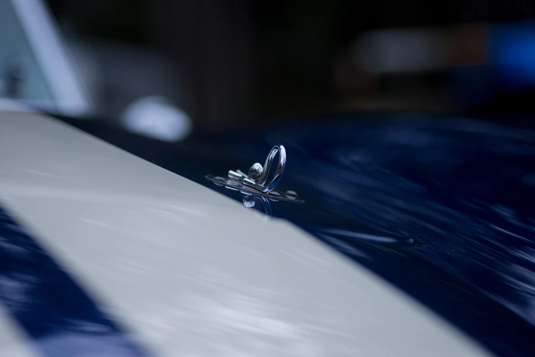 Shelby Cobra Replica - Image 23 of 31