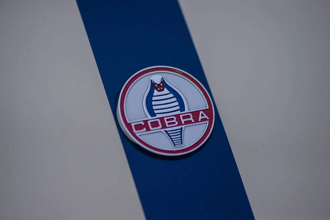 Shelby Cobra Replica - Image 27 of 31