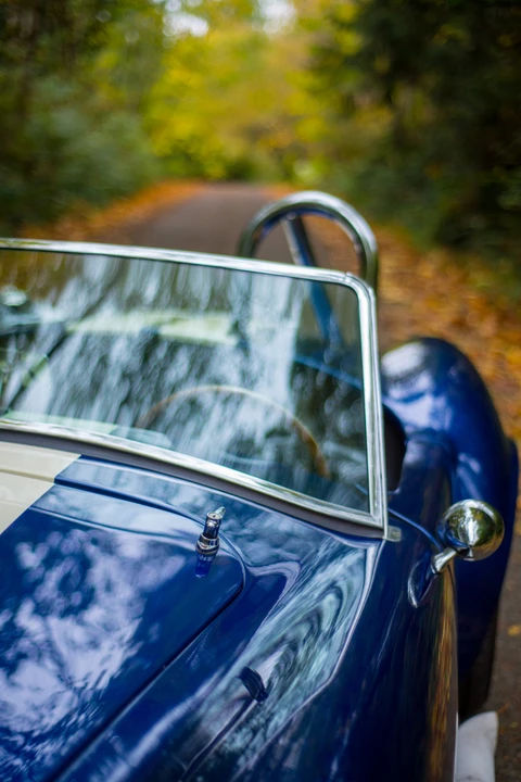 Shelby Cobra Replica - Image 18 of 31