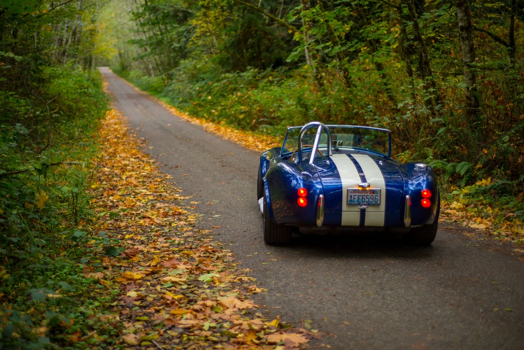 Shelby Cobra Replica - Image 10 of 31