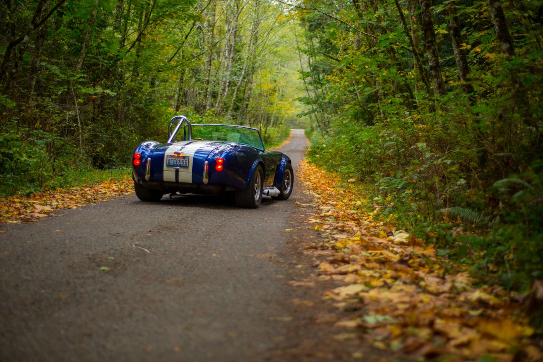 Shelby Cobra Replica - Image 11 of 31